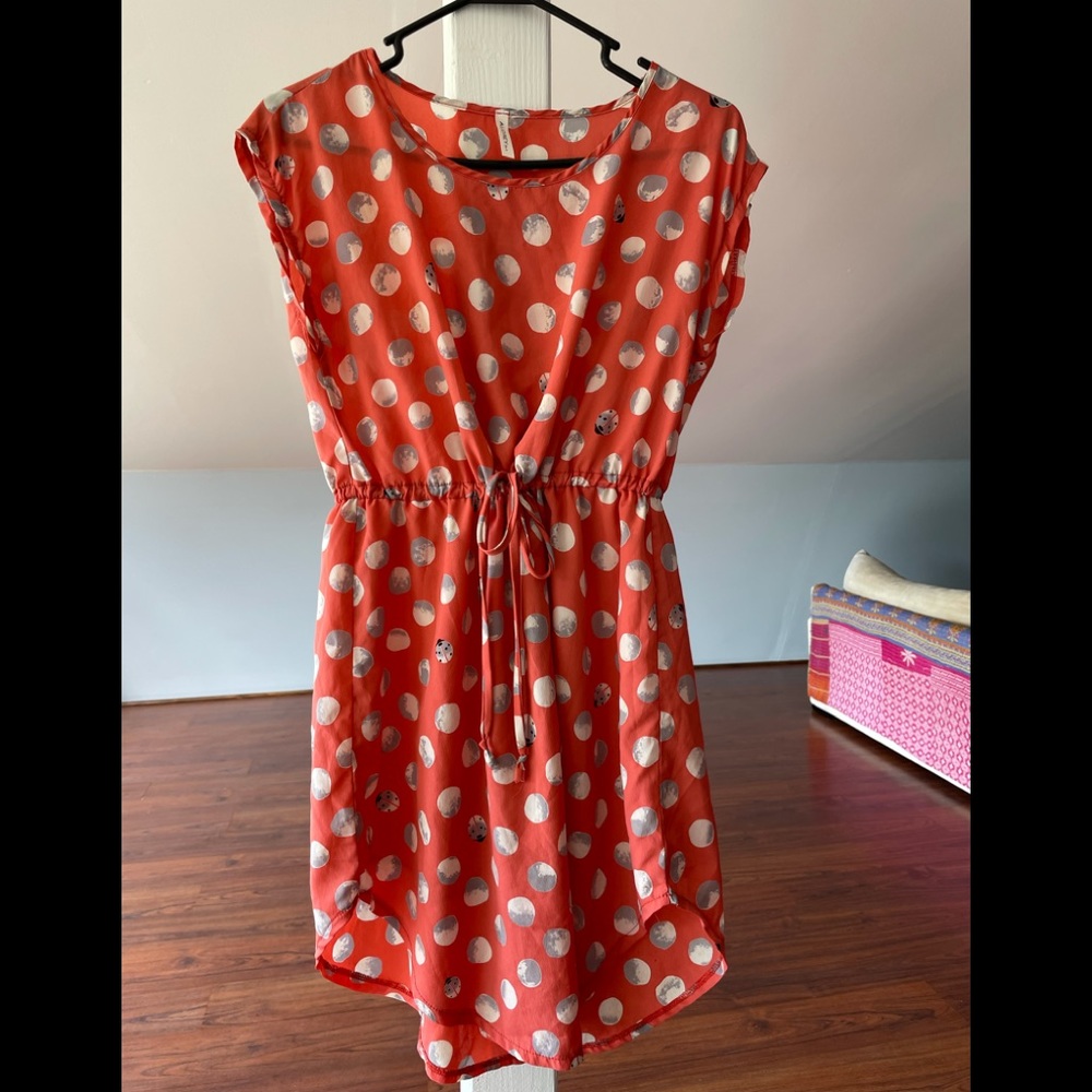 Lady Bug and Moon Cinch Waist Dress